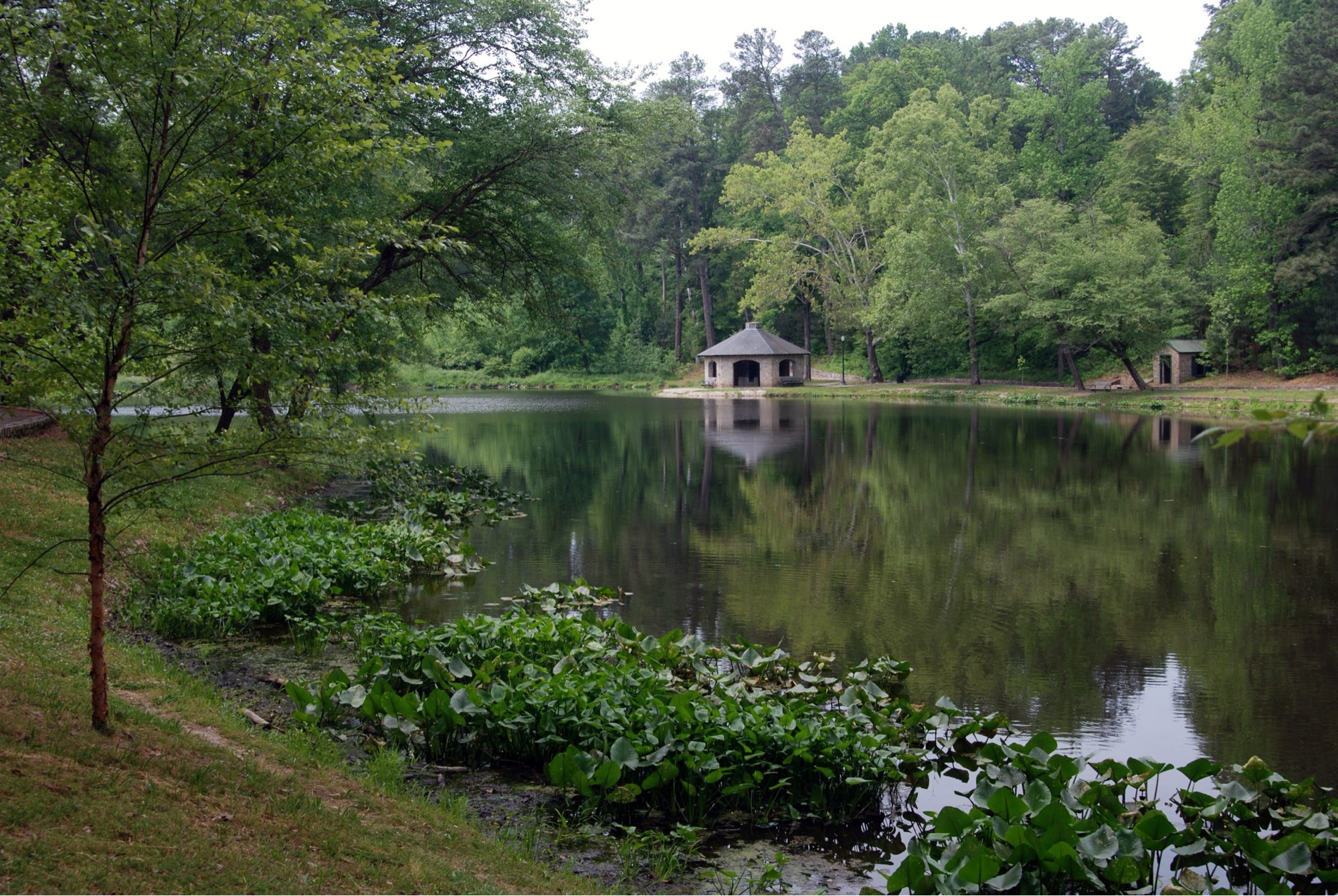 The serene pond at Forest Hill Park, Richmond VA